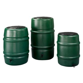 REGENTON GROEN