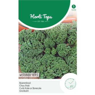 PAKJE BOERENKOOL WESTLANDSE HERFST, LAAT TYPE (HORTI TOPS)