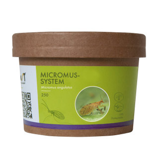 MICROMUS-SYSTEM (MICROMUS ANGULATUS) (250 STUKS)