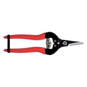 ARS SCHAAR 300SS