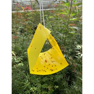 DELTAVAL GEEL XL 70X25CM