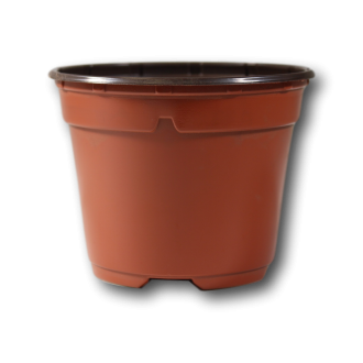 DUO POTTEN TERRA COTTA