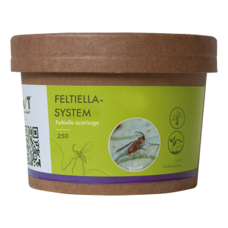 FELTIELLA ACARISUGA (250 STUKS - 240 ML. BEKER)
