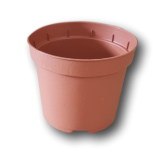RONDE POTTEN T.C.