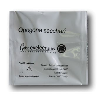 FEROMOONCAPSULE OPOGONA SACCHARI (1 STUK)