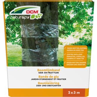 DCM LIJMBAND 2 X 3 MTR.